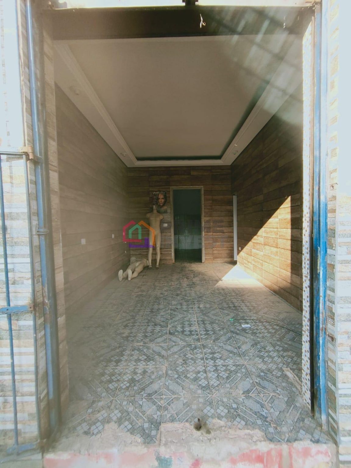 5172076372557824